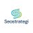 seostrategi